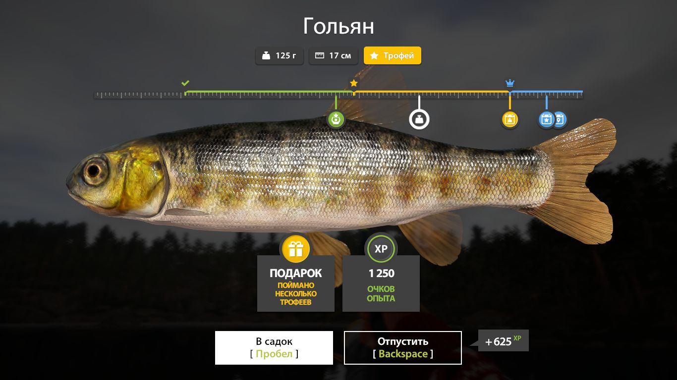 Скриншот точки клева на #трофей_rf4map