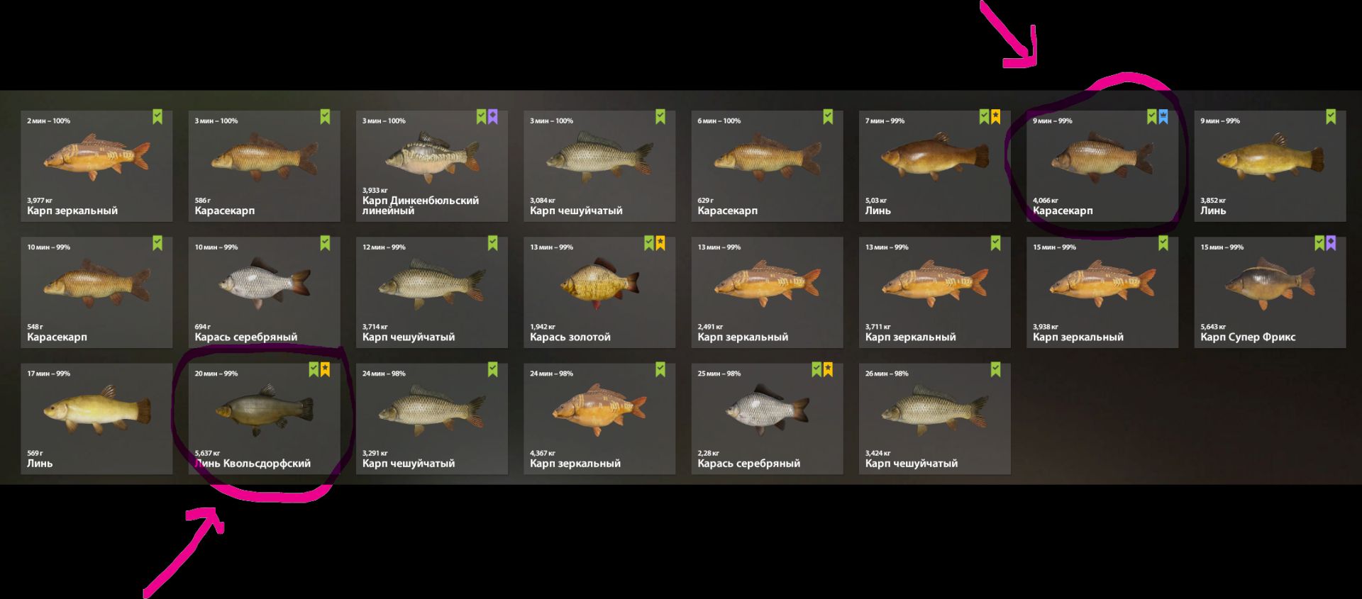 Скриншот точки клева на #трофей_rf4map