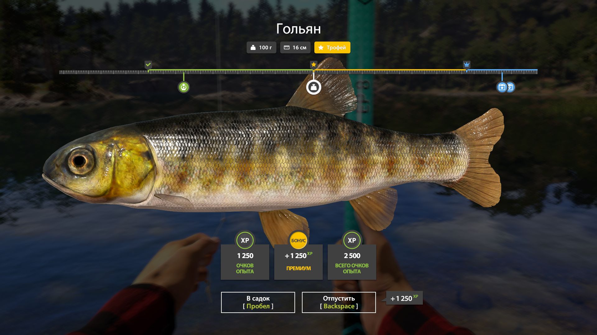 Скриншот точки клева на #трофей_rf4map