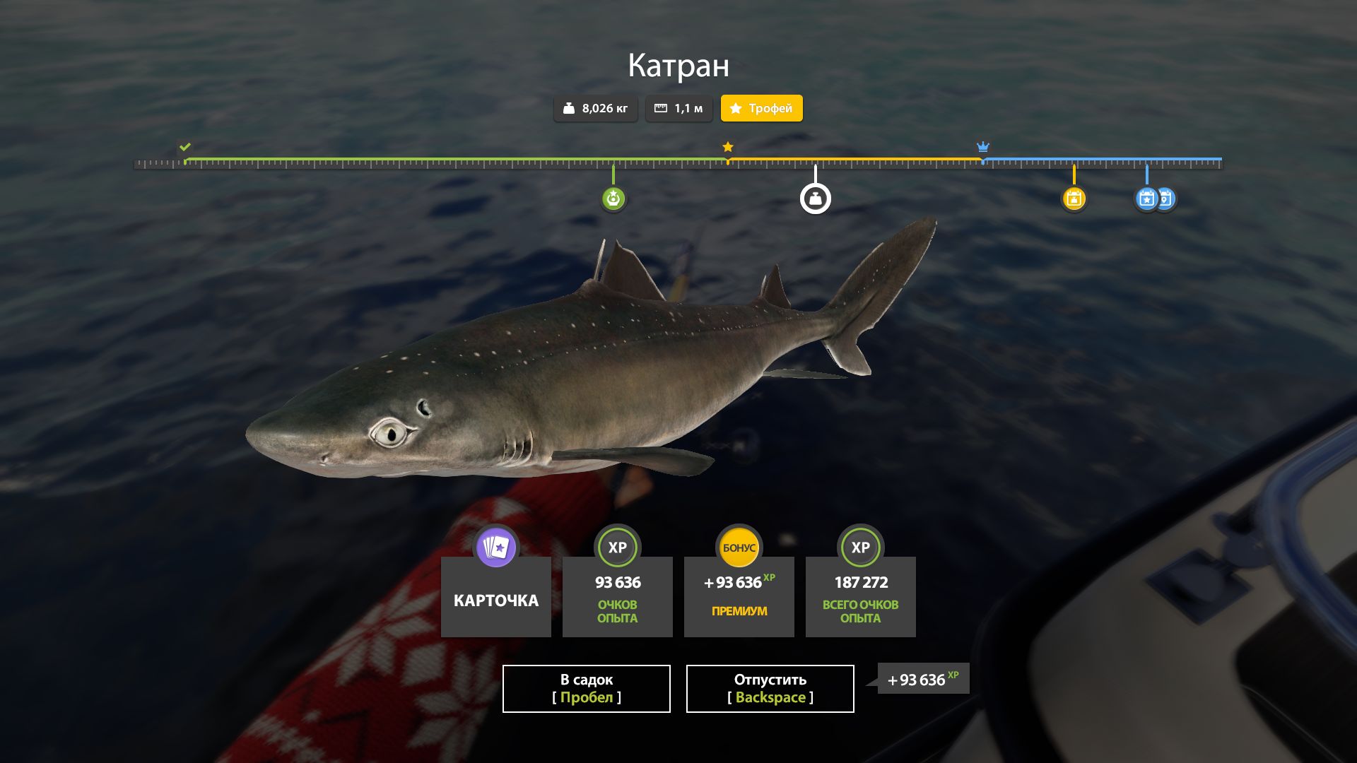 Скриншот точки клева на #трофей_rf4map