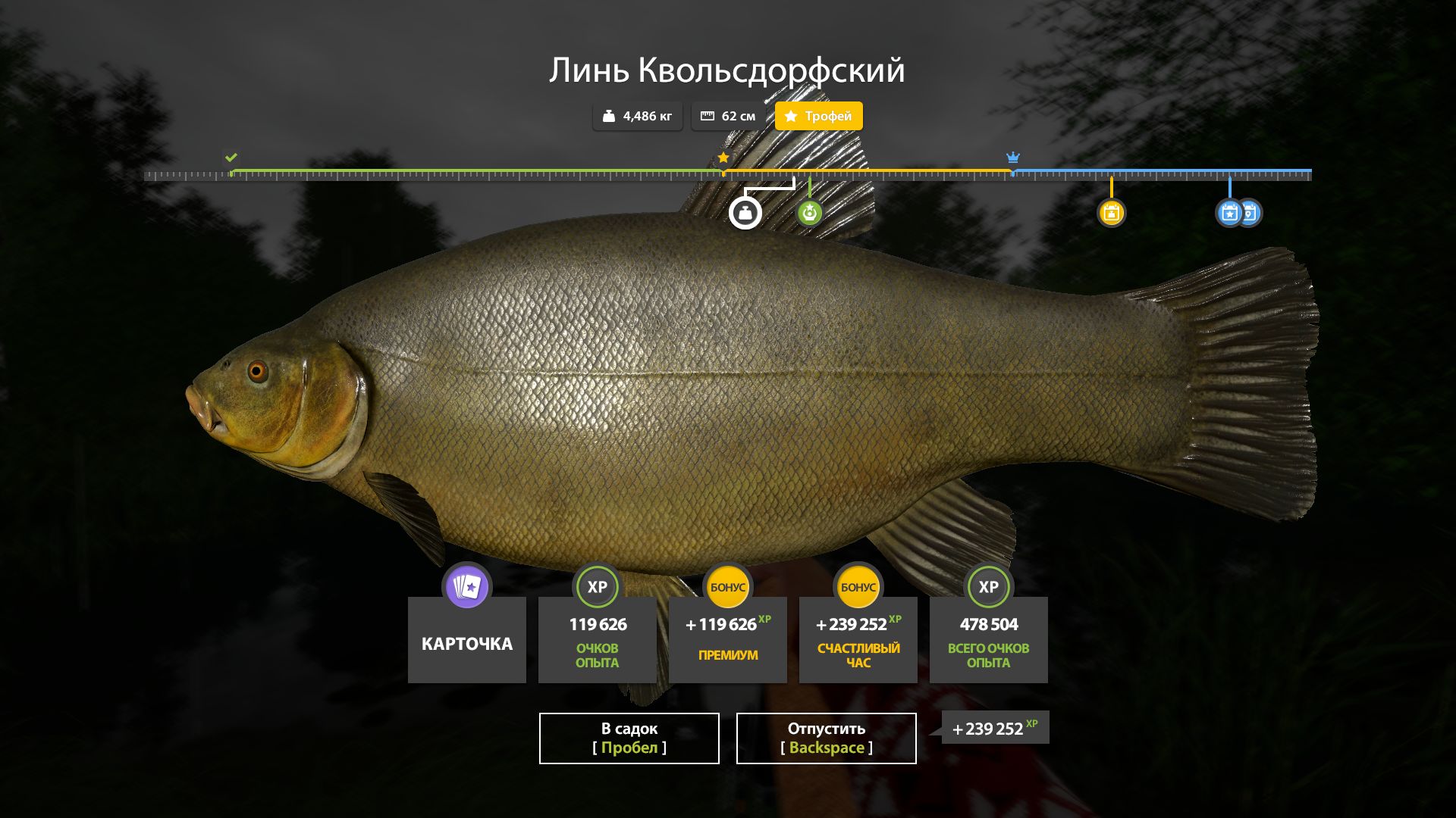 Скриншот точки клева на #трофей_rf4map