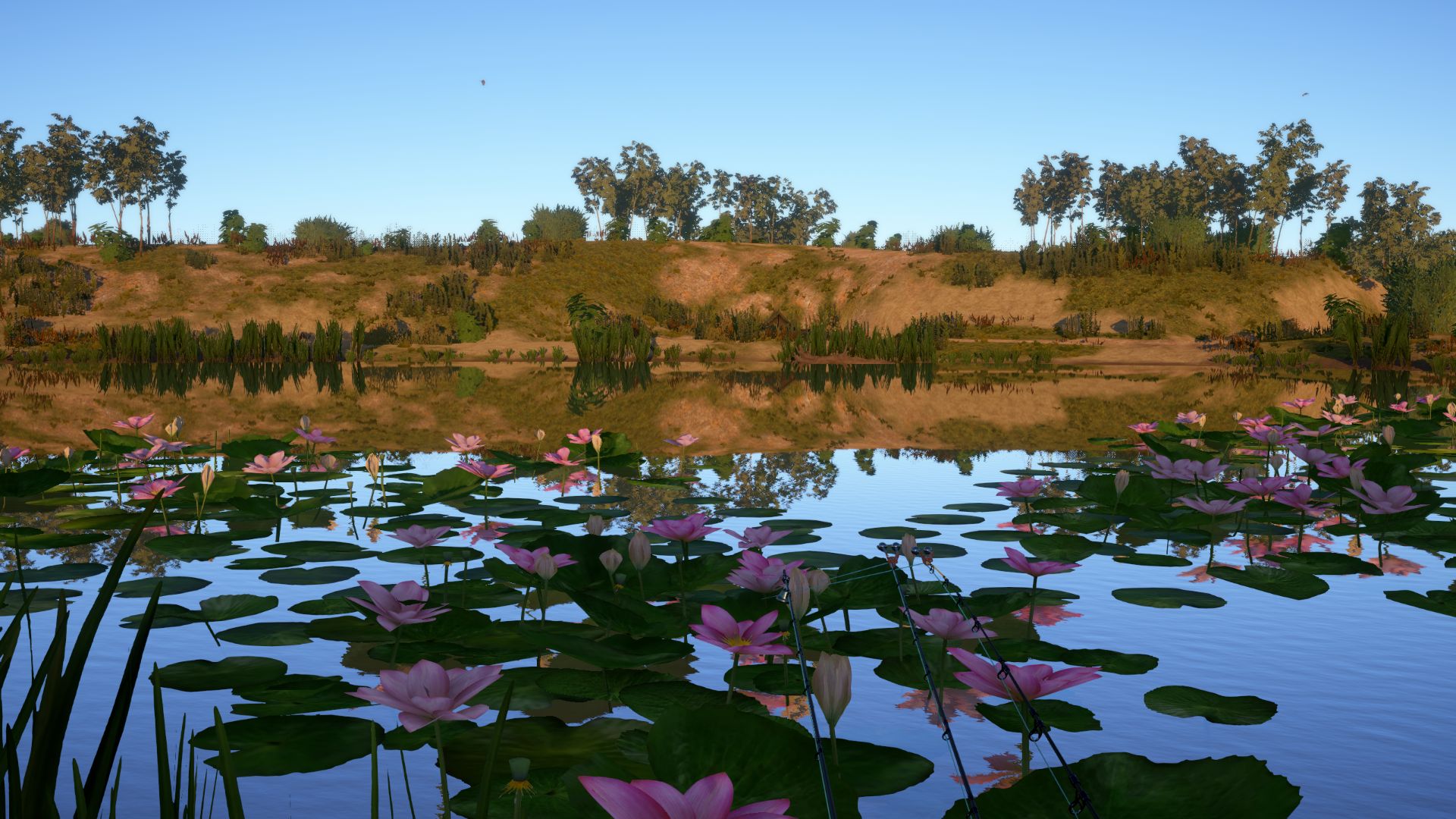 Скриншот точки клева на #трофей_rf4map
