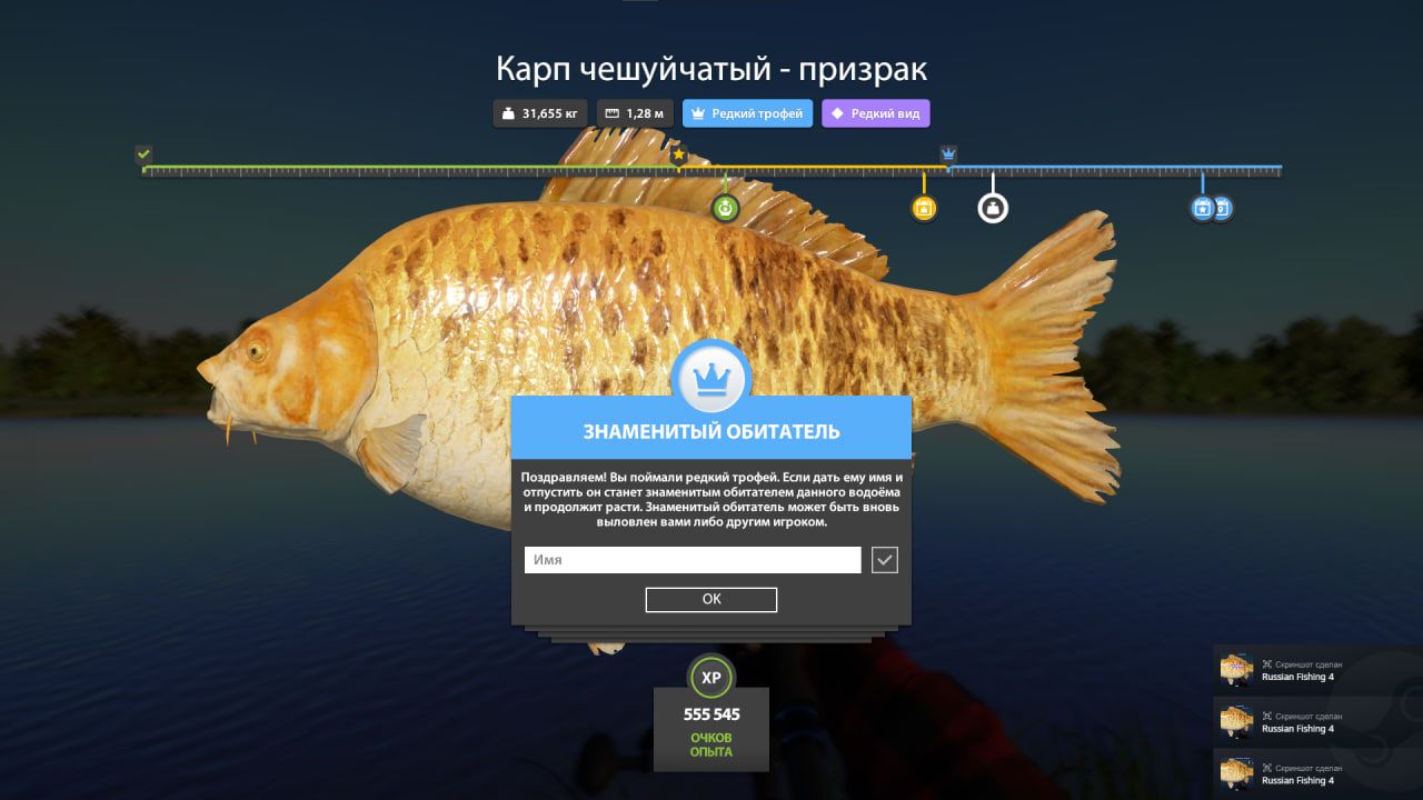 Фото точки
